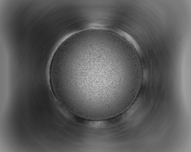 X0000092321435200709211321
