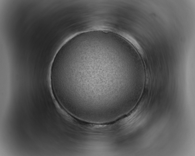 X0000092321439200709211321