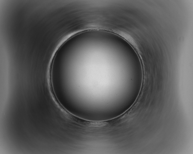 X0000092321440200709211321