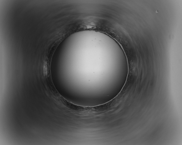 X0000092321442200709211321