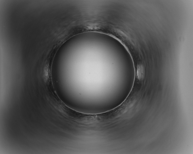 X0000092321444200709211321