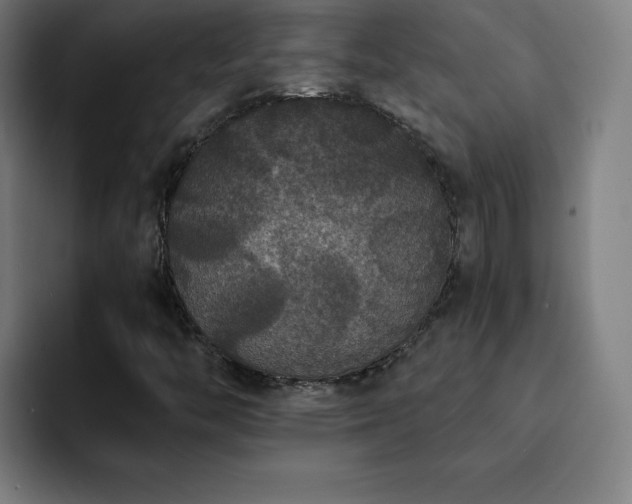 X0000092321446200709211321