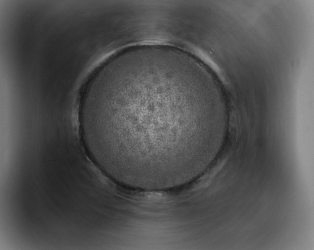 X0000092321456200709211321