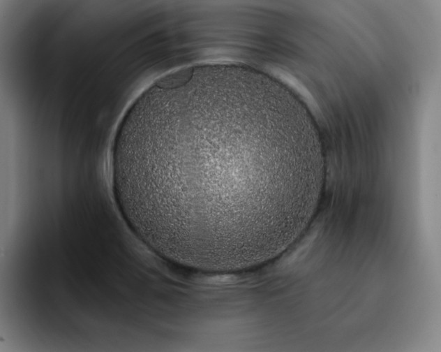 X0000092321467200709211320