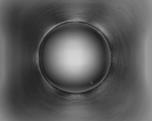 X0000092321468200709211320