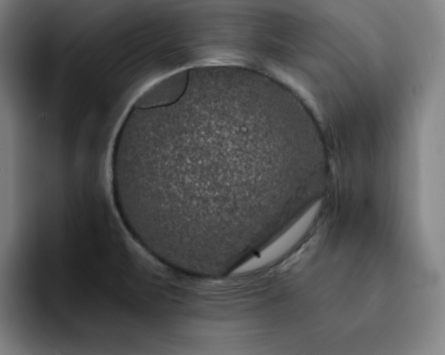 X0000092321471200709211320