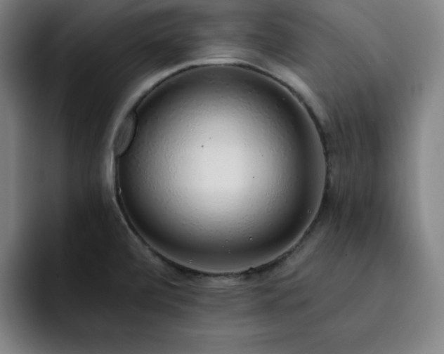 X0000092321472200709211320