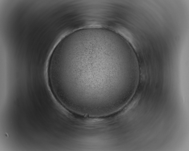 X0000092321475200709211320