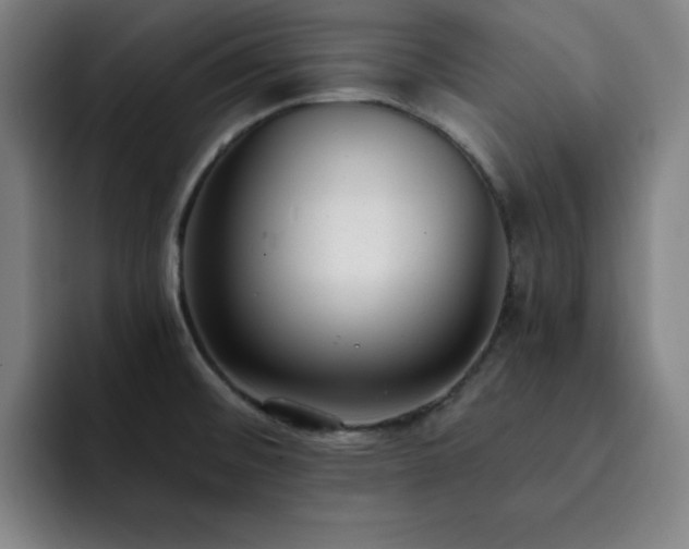 X0000092321476200709211320