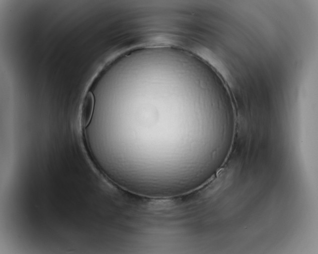 X0000092321477200709211320