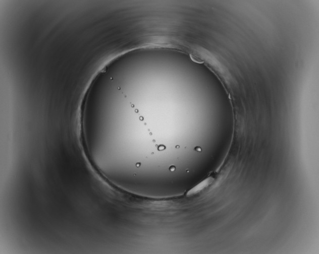 X0000092321479200709211320