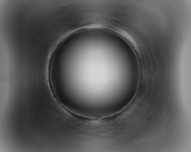 X0000092321480200709211320
