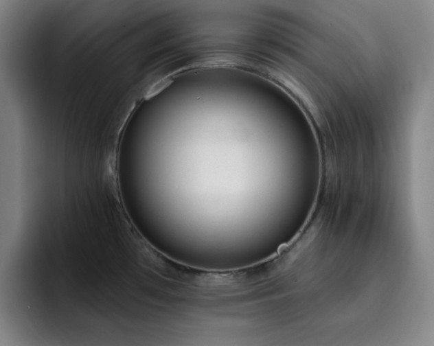 X0000092321481200709211320