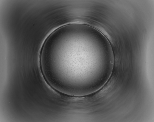 X0000092321484200709211320