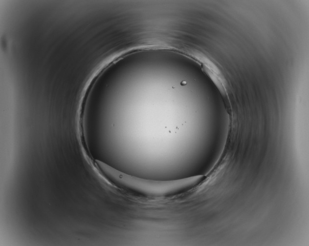 X0000092321485200709211320