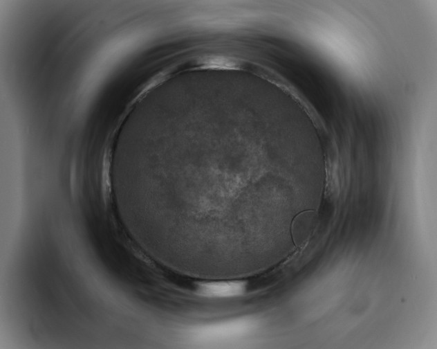 X0000092321487200709211320