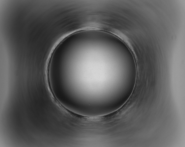 X0000092321488200709211320