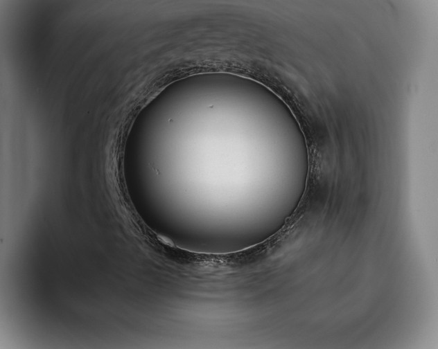 X0000092321489200709211320