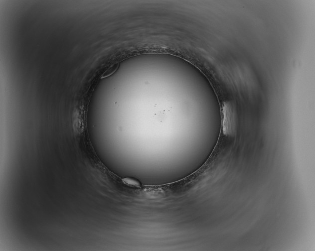 X0000092321491200709211320