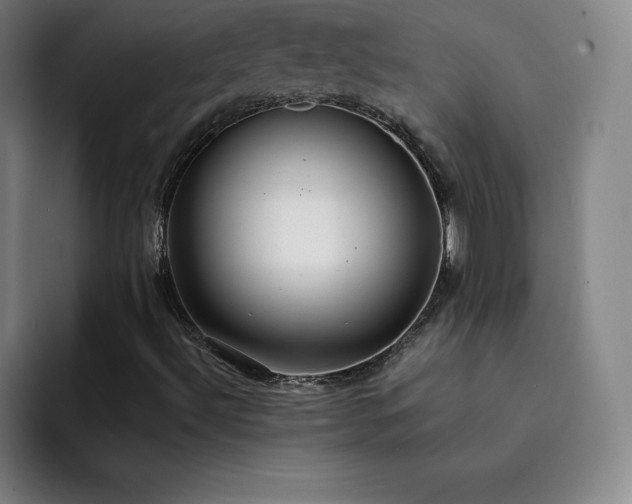 X0000092321492200709211320