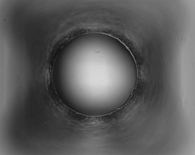 X0000092321493200709211320