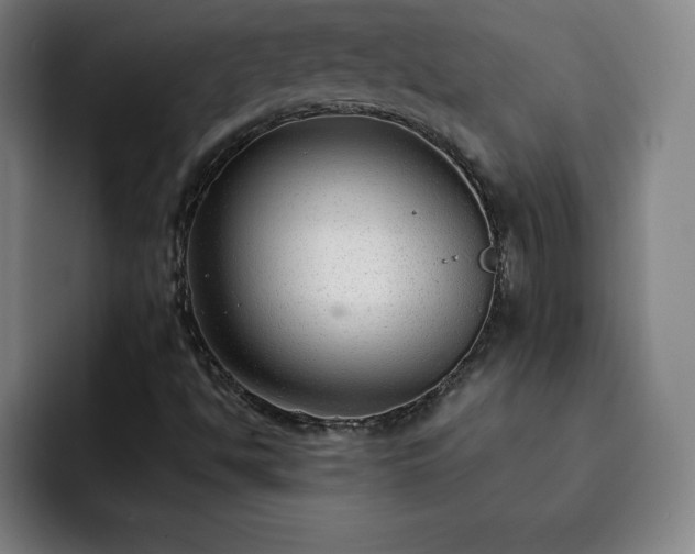 X0000092321494200709211320