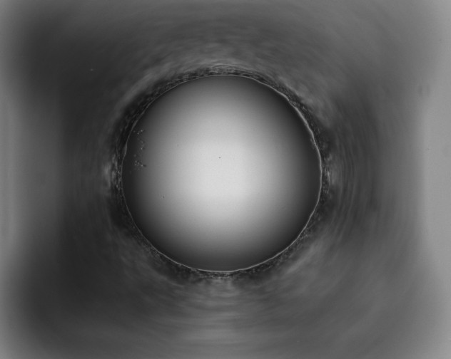 X0000092321495200709211320