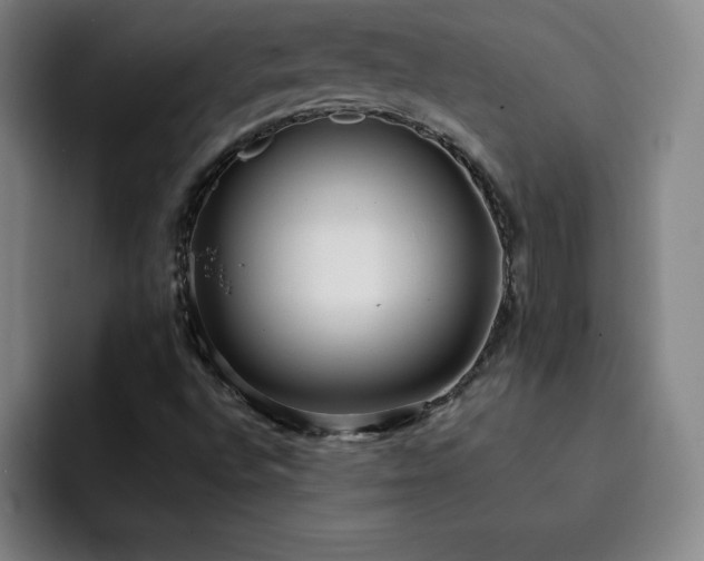 X0000092321496200709211320