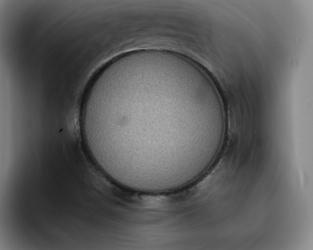 X0000092321498200709211320