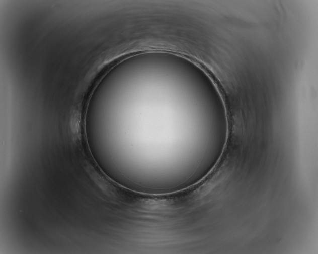 X0000092321499200709211320