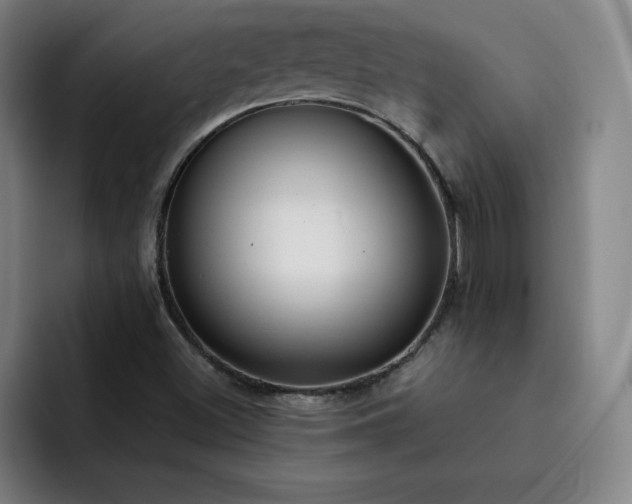 X0000092321500200709211320
