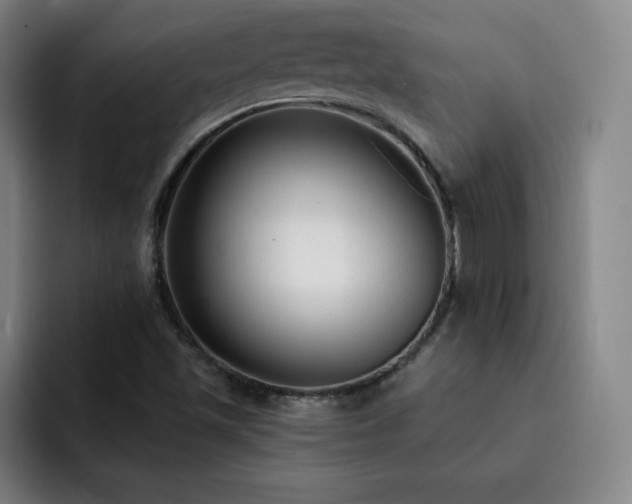 X0000092321501200709211320