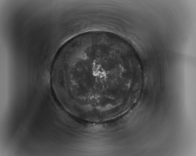 X0000092321505200709211320
