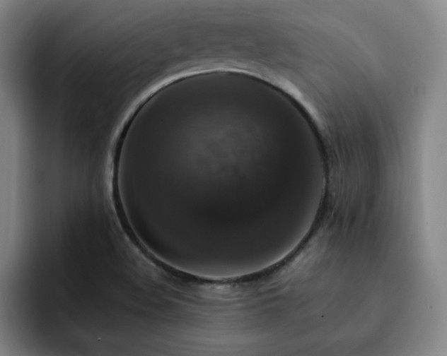 X0000092321508200709211320