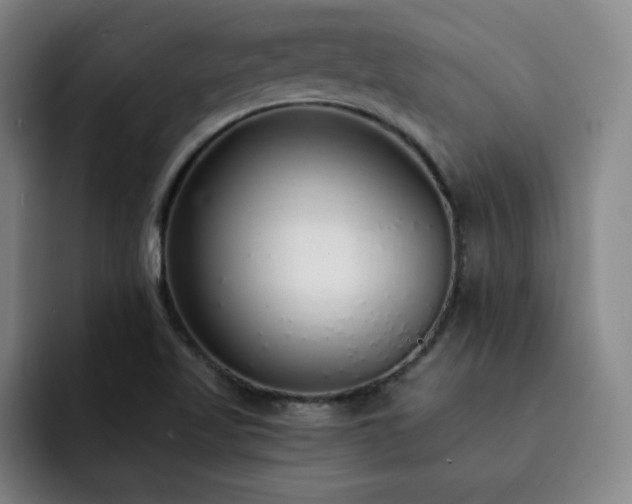 X0000092321509200709211320