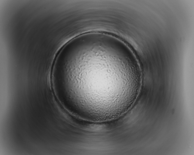 X0000092321513200709211320