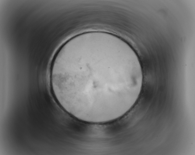 X0000092321514200709211320