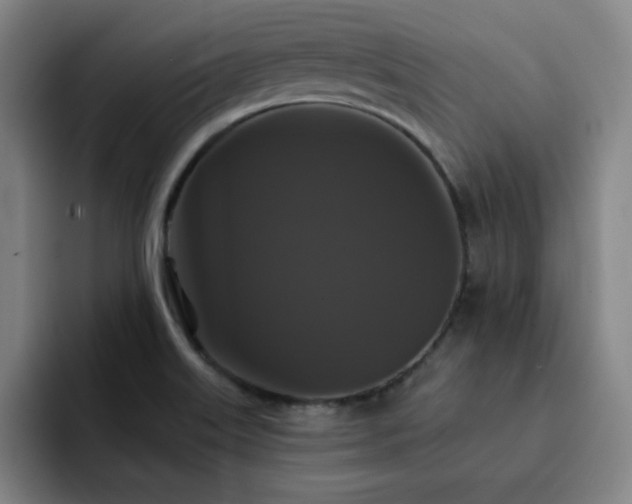 X0000092321515200709211320