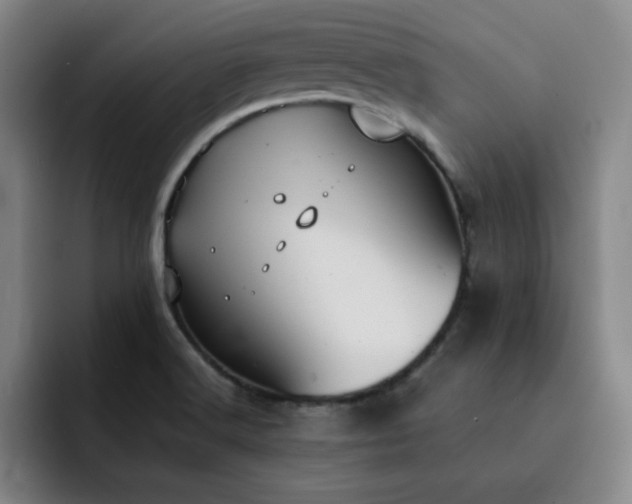X0000092321516200709211320