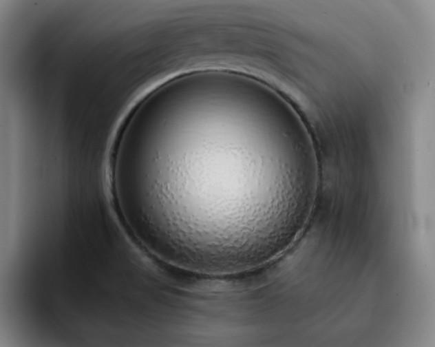 X0000092321517200709211320