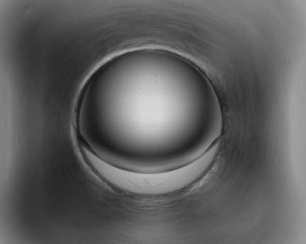 X0000092321518200709211320