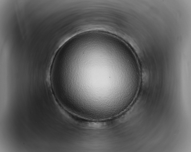 X0000092321521200709211320