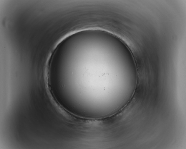 X0000092321526200709211320