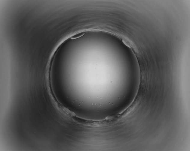 X0000092321530200709211320