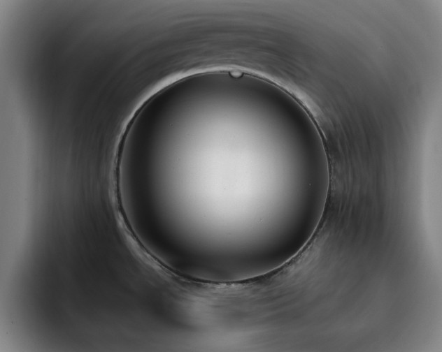 X0000092321534200709211320