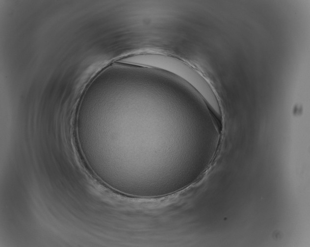 X0000092320001200709281416