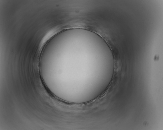 X0000092320004200709281415