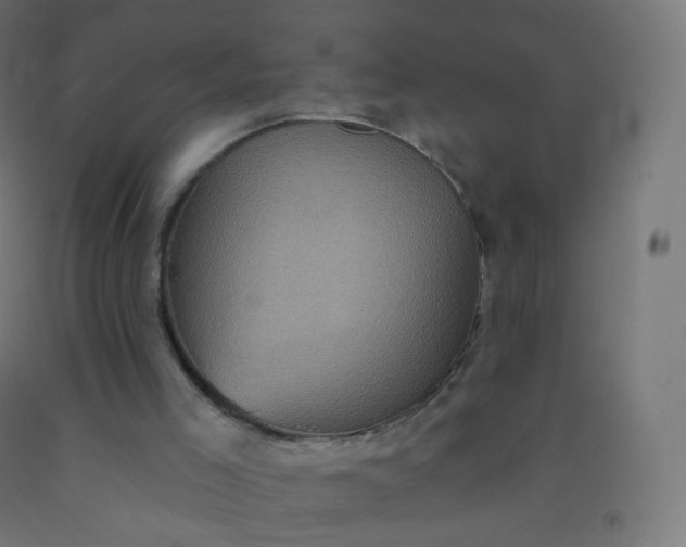 X0000092320005200709281415