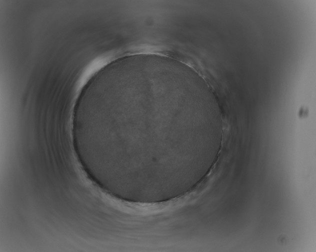 X0000092320006200709281415