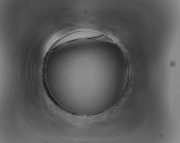 X0000092320007200709281415